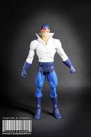 DCUC Max Mercury (DC Universe) Custom Action Figure