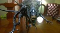 Neca Alien Queen (with Correct Jaw Tendons) (Aliens) Custom Action Figure