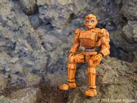 Preatobot Warrior 3D Printed (Original) Custom Action Figure