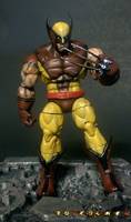 Wolverine (Marvel Legends) Custom Action Figure