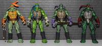 Leonardo (Teenage Mutant Ninja Turtles) Custom Action Figure