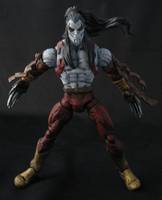 Ripclaw (Legendary Comic Book Heroes) Custom Action Figure
