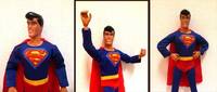 Superboy Animated (Superman) Custom Action Figure