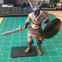 Warduke 3.75 (Dungeons and Dragons) Custom Action Figure