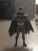 Batman V Superman Batman Custom (Batman) Custom Action Figure
