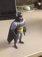 Batman V Superman Batman Custom (Batman) Custom Action Figure