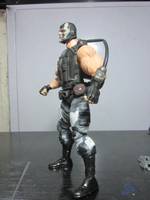 Bane (DC Universe) Custom Action Figure