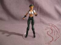 Sonya Blade (Mortal Kombat vs. DC Universe) Custom Action Figure