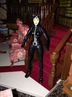 Catwoman (Batman) Custom Action Figure