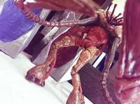 Flood Juggernaut (Halo) Custom Action Figure