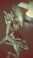 AVP Grid Alien (Alien vs Predator) Custom Action Figure