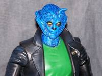 The Raccoon (Legendary Comic Book Heroes) Custom Action Figure