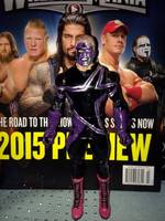Custom WWE "STARDUST in PURPLE" Figure.. (Wrestling) Custom Action Figure