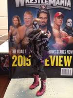 Custom WWE "STARDUST in PURPLE" Figure.. (Wrestling) Custom Action Figure