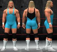 Mr Perfect (Wrestling) Custom Action Figure