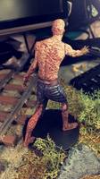 Walking Dead Wolves Marked Walker (Walking Dead) Custom Action Figure