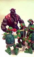Bebop- Teenage Mutant Ninja Turtles (MARVELOUS-STYLE) (Teenage Mutant Ninja Turtles) Custom Action Figure