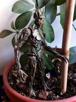 GOTG Groot Movie Version (Marvel Legends) Custom Action Figure