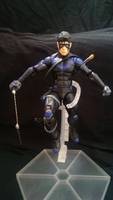 Nighthood (DC Superheroes) Custom Action Figure