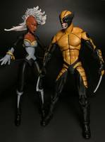 Marvel Now Wolverine (Marvel Universe) Custom Action Figure