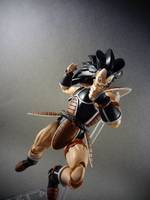 S.H Figuarts Raditz (Dragonball Z) Custom Action Figure