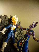S.H Figuarts Beerus (Dragonball Z) Custom Action Figure