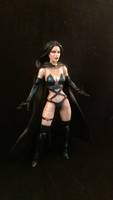 Selene the Black Queen ( Hellfire Club) (Marvel Legends) Custom Action Figure