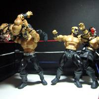 Powers of Pain (Masters of the Wrestling Universe) (Masters of the Universe) Custom Action Figure