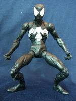 Symbiote Spider-man (Spider-Man) Custom Action Figure
