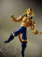 S.H Figuarts Rigor the True Legendary Super Saiyan #800 (Dragonball Z) Custom Action Figure