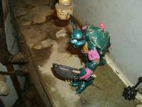 Slash (Teenage Mutant Ninja Turtles) Custom Action Figure