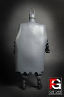DCUC Justice Lord Batman (DC Universe) Custom Action Figure