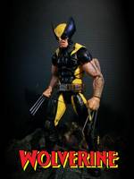 Wolverine (Marvel Legends) Custom Action Figure