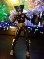 Marvel Universe Wolfsbane (Marvel Universe) Custom Action Figure