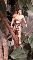 Tarzan: Lord of the Apes (DC Universe) Custom Action Figure