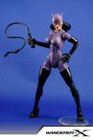 Catwoman ('90s Costume) (DC Universe) Custom Action Figure