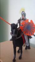Knigth (Lord of the Rings) Custom Action Figure