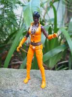 Vixen V. 2 (Justice League) Custom Action Figure