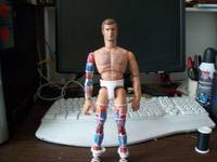 Col. Steve Austin (Six Million Dollar Man) Custom Action Figure