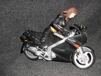 Dark Angel (Dark Angel) Custom Action Figure