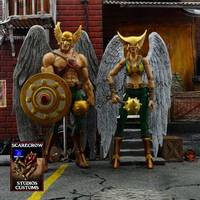 Hawkgirl (DC Universe) Custom Action Figure