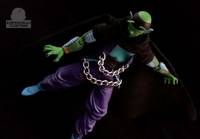 S.H. Figuarts Savy V01 (Dragonball Z) Custom Action Figure