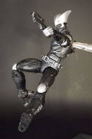 Shadow Hawk (vers.II) (Image) Custom Action Figure