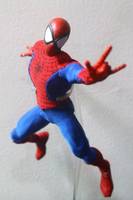 Spider-Man (One:12 Collective) Custom Action Figure