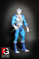 DCUC Bengali Thundercats (Thundercats) Custom Action Figure