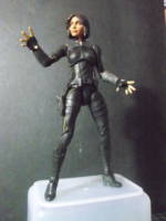 Quake Agents of Shield (Marvel Legends) Custom Action Figure