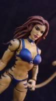Tigra (Marvel Legends) Custom Action Figure