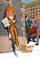 VELVET TIGER Lani Gilbert (DC Universe) Custom Action Figure