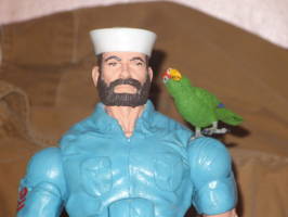 Shipwreck (G.I. Joe) Custom Action Figure