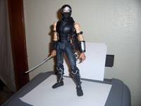 Ninja Gaiden (Ninja Gaiden) Custom Action Figure